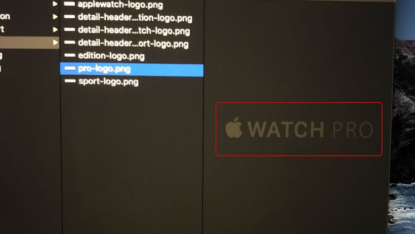 k1体育苹果“Apple Watch Pro”品牌名称Logo曝光了(图1)