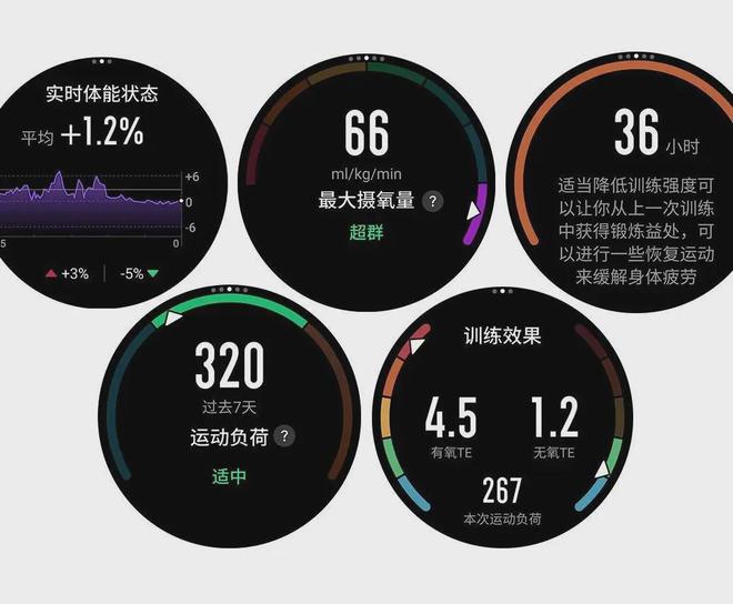 k1体育·(中国)官方网站1500元跑表首选？Amazfit 华米Cheetah(图8)